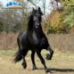 Ind�stria empresa f�brica para nutri��o animal